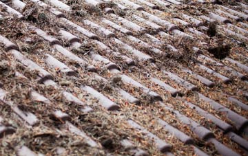 Pippin Street roof cleaning companies